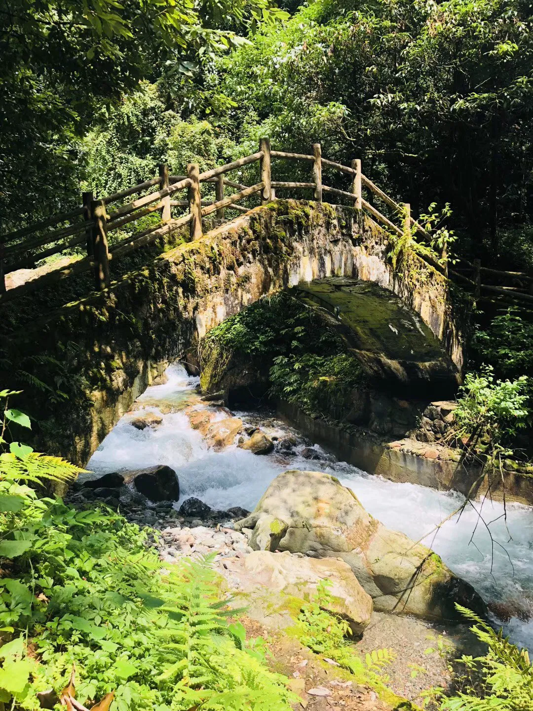 哈哈体育官方入口